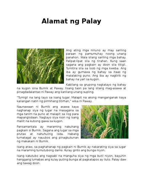 Alamat ng Palay .